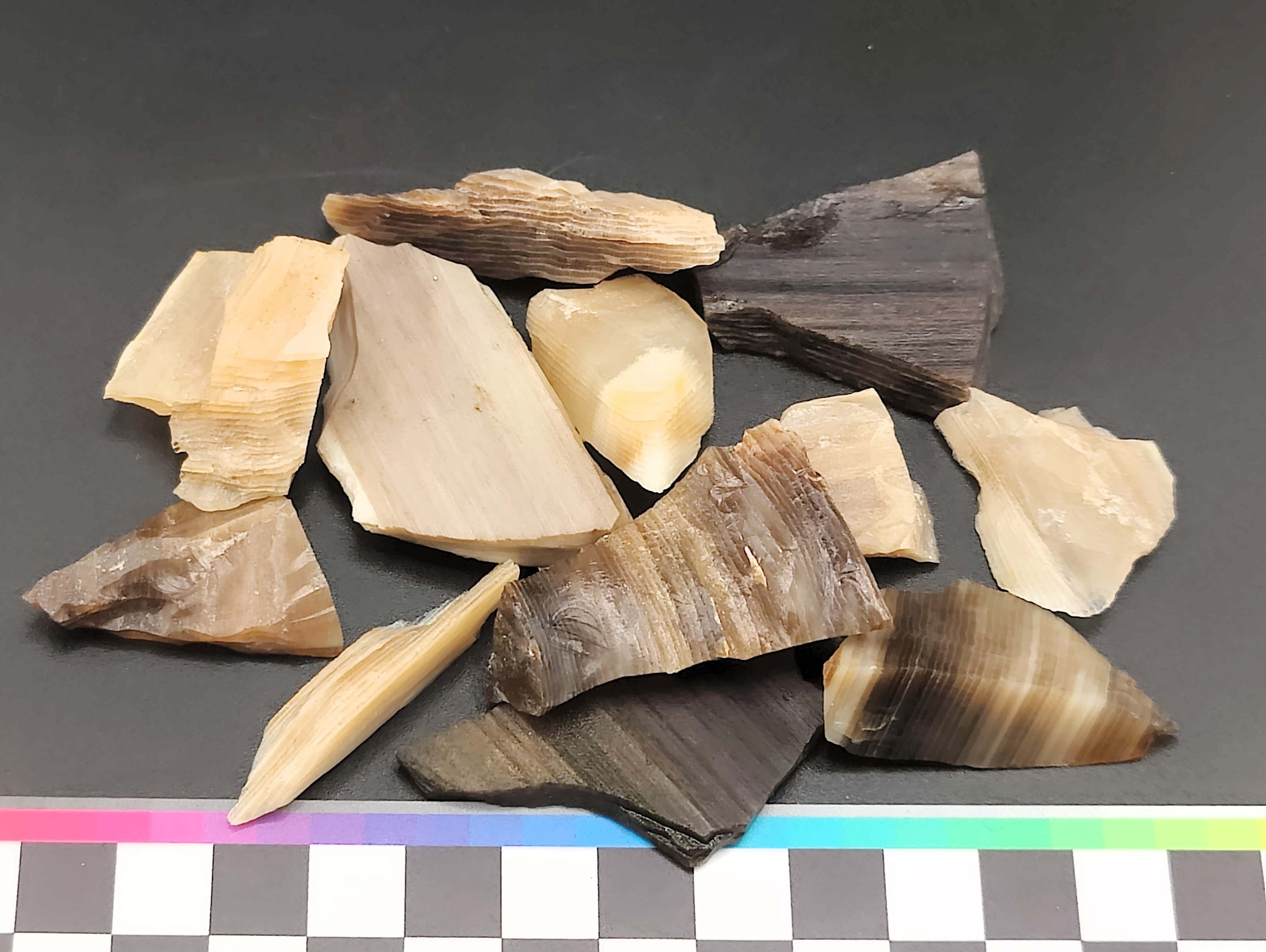 AAM0030 Окаменелое дерево с замещением опалом, Приморье