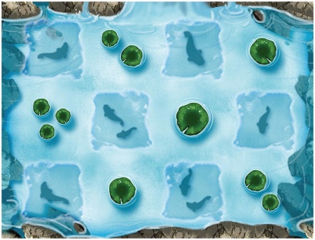 915882HW Кохаку