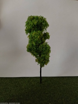 PRMDR001 дерево тополь весна