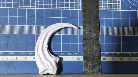 DINO10004 Коготь раптора